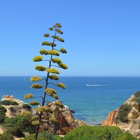 וילה Mar - Prainha *