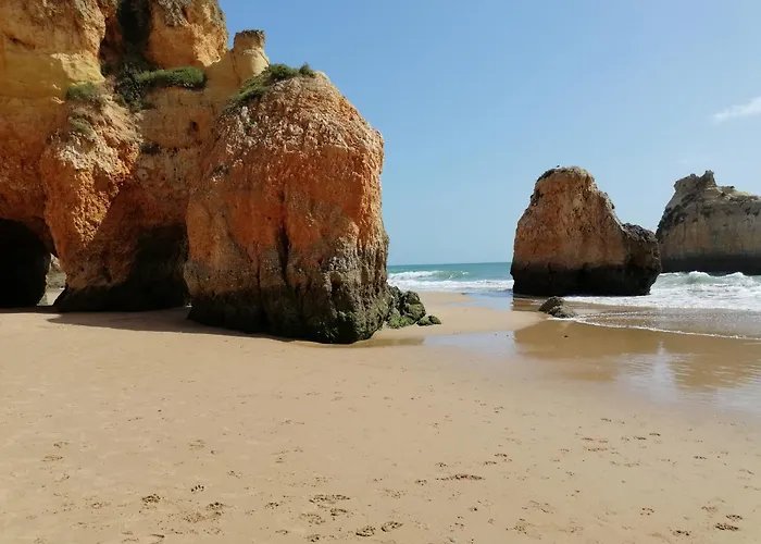 빌라 Mar - Prainha 알보르