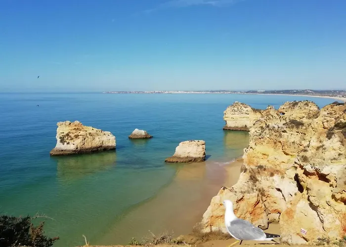 Mar - Prainha 빌라 알보르