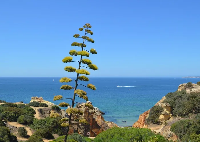 빌라 Mar - Prainha *